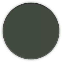 Pewter Olive